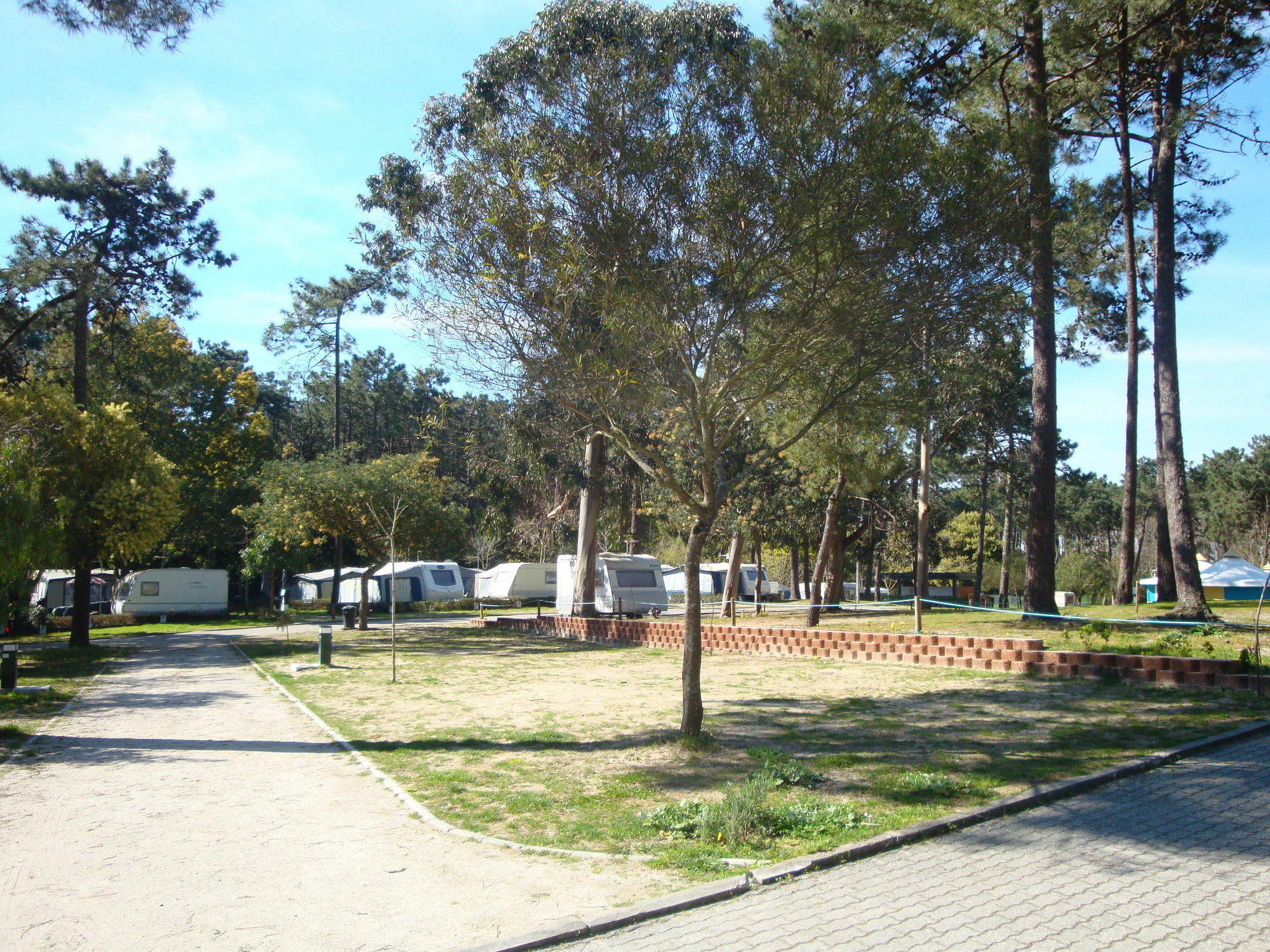 Orbitur Caminha Bungalows - Caravan Park 外观 照片